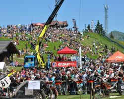dsc 0321 800x531